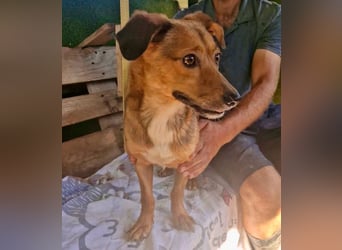 Souly, kleine Kämpferin sucht ihr Glück