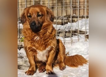 Mini Mäuschen Pusica