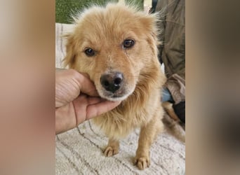 Socke – fröhlicher kleiner Grinsebär sucht sein Glück
