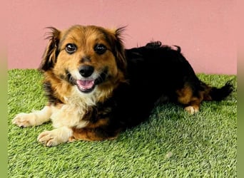 Mini Knutschkugel Kessie