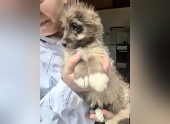 Jury sucht seine Menschen