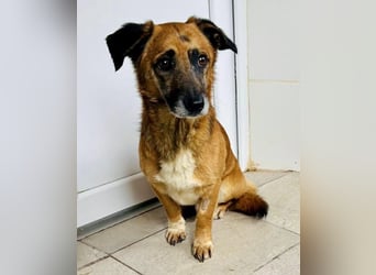 Fiete – sein kleines Herz versteht die Welt nicht mehr