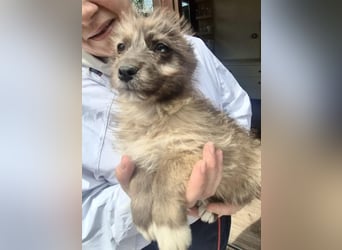 Jury sucht seine Menschen