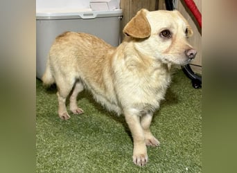 Kleines, zartes Männlein Justus