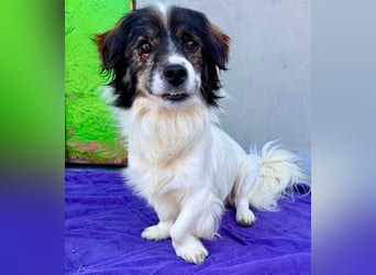 Rocky, kleines Männlein sucht seine Familie