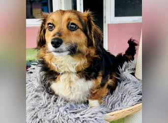 Mini Knutschkugel Kessie