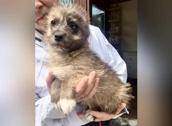 Jury sucht seine Menschen