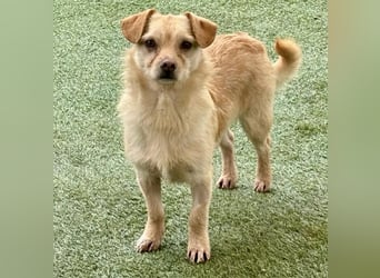 Kleines, zartes Männlein Justus