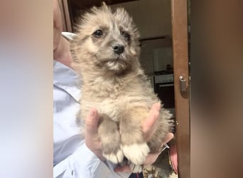 Jury sucht seine Menschen