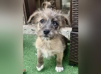 Jury sucht seine Menschen