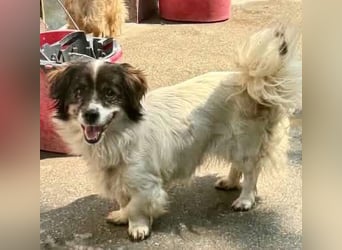 Rocky, kleines Männlein sucht seine Familie