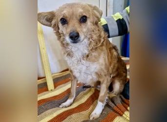 Liebe, kleine Schmusemaus Maya