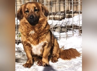 Mini Mäuschen Pusica