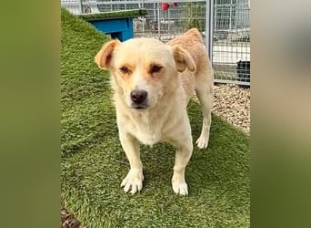 Theo, kleine Knutschkugel sucht seine Familie