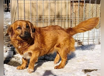 Mini Mäuschen Pusica