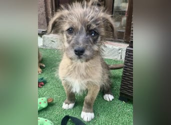 Jury sucht seine Menschen