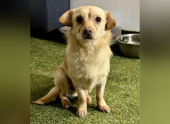 Kleines, zartes Männlein Justus