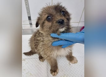 Jury sucht seine Menschen