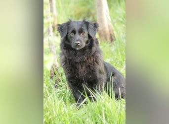 Zartes Mäuschen Ebony sucht ihr Zuhause
