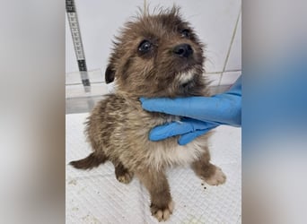 Jury sucht seine Menschen