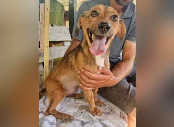 Souly, kleine Kämpferin sucht ihr Glück