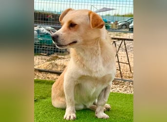 Theo, kleine Knutschkugel sucht seine Familie
