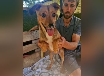 Souly, kleine Kämpferin sucht ihr Glück