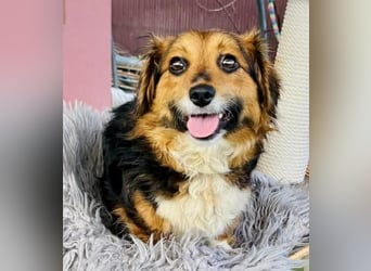 Mini Knutschkugel Kessie