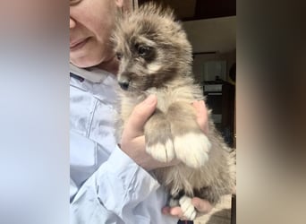 Jury sucht seine Menschen