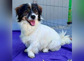 Rocky, kleines Männlein sucht seine Familie
