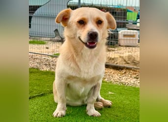 Theo, kleine Knutschkugel sucht seine Familie