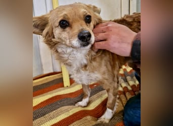 Liebe, kleine Schmusemaus Maya