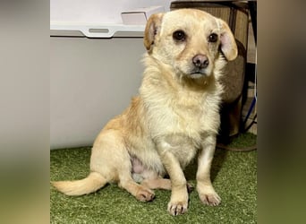 Kleines, zartes Männlein Justus