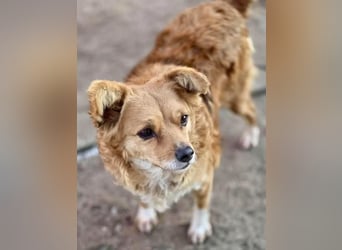 Liebe, kleine Schmusemaus Maya