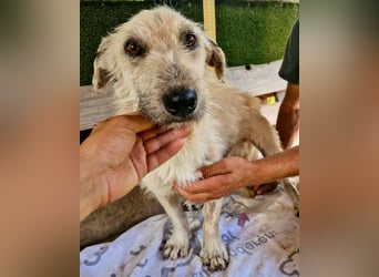 Willibald, freundlicher Bub sucht seine Familie