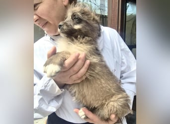 Jury sucht seine Menschen