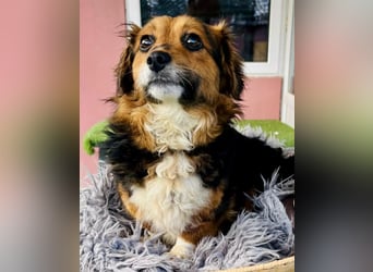 Mini Knutschkugel Kessie