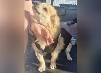 32cm Mini Männlein Janni