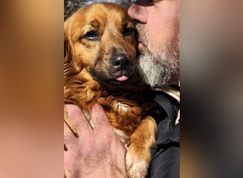 Mini Mäuschen Pusica