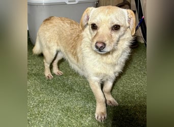 Kleines, zartes Männlein Justus