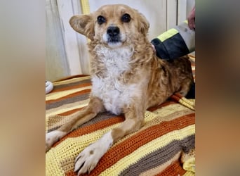 Liebe, kleine Schmusemaus Maya