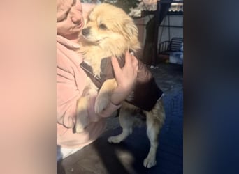 32cm Mini Männlein Janni