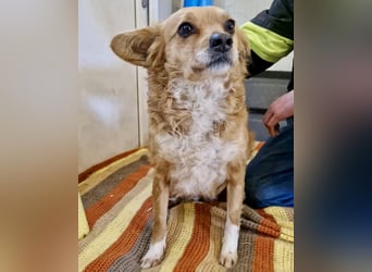 Liebe, kleine Schmusemaus Maya