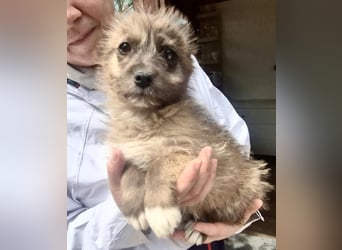 Jury sucht seine Menschen