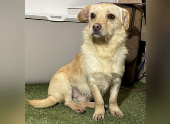 Kleines, zartes Männlein Justus