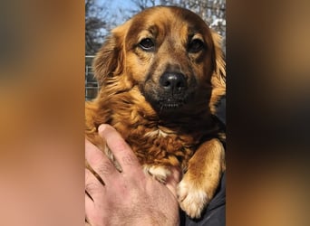 Mini Mäuschen Pusica