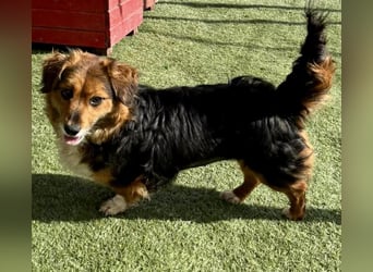 Mini Knutschkugel Kessie