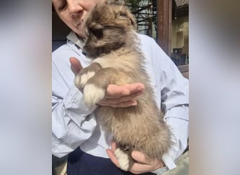 Jury sucht seine Menschen