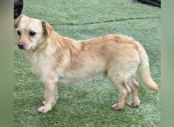 Kleines, zartes Männlein Justus