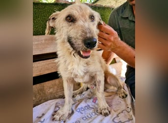 Willibald, freundlicher Bub sucht seine Familie